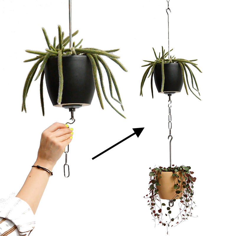 chain extension for hanging plant Grow Chains – SkyPots