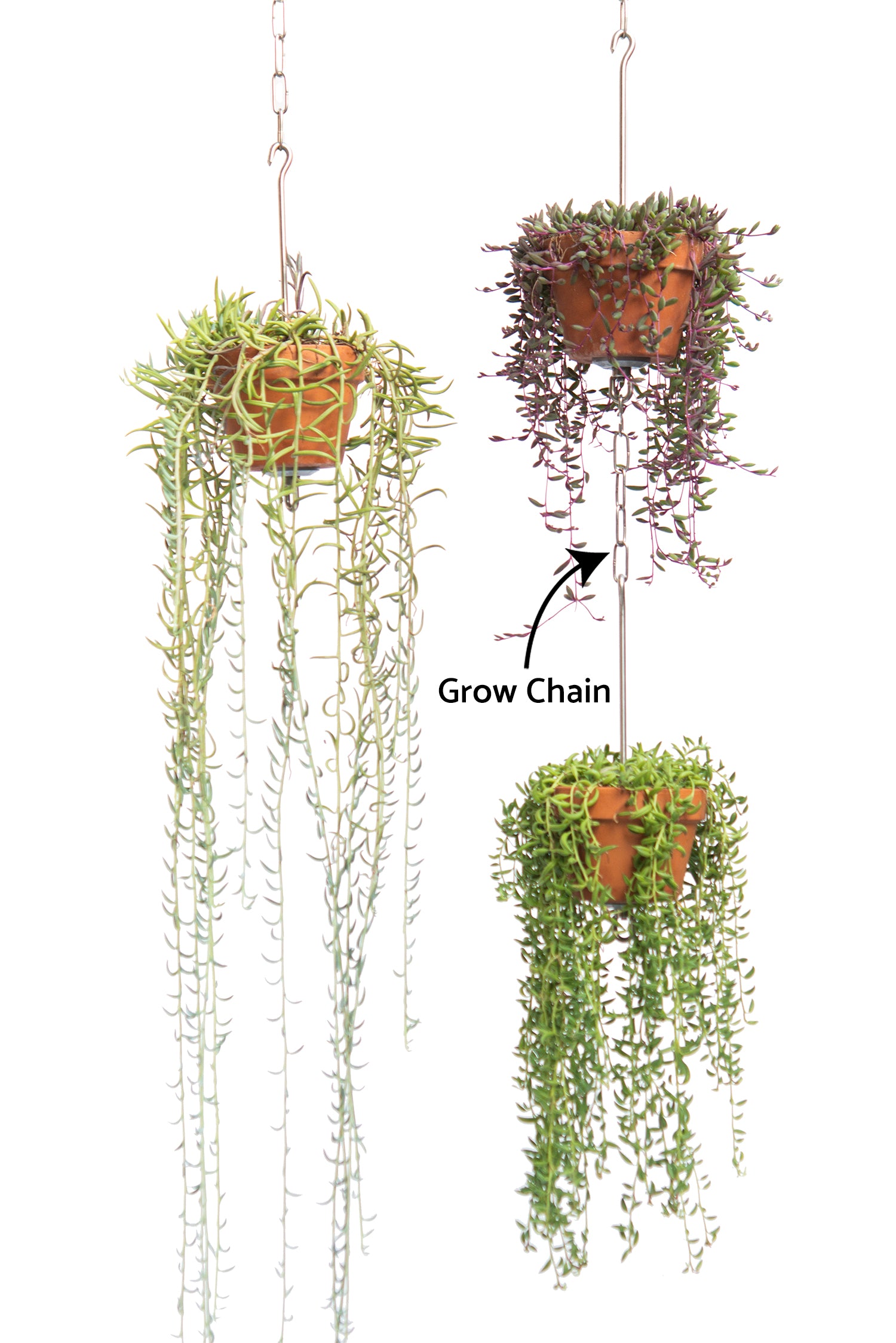 chains for hanging plants Grow Chains