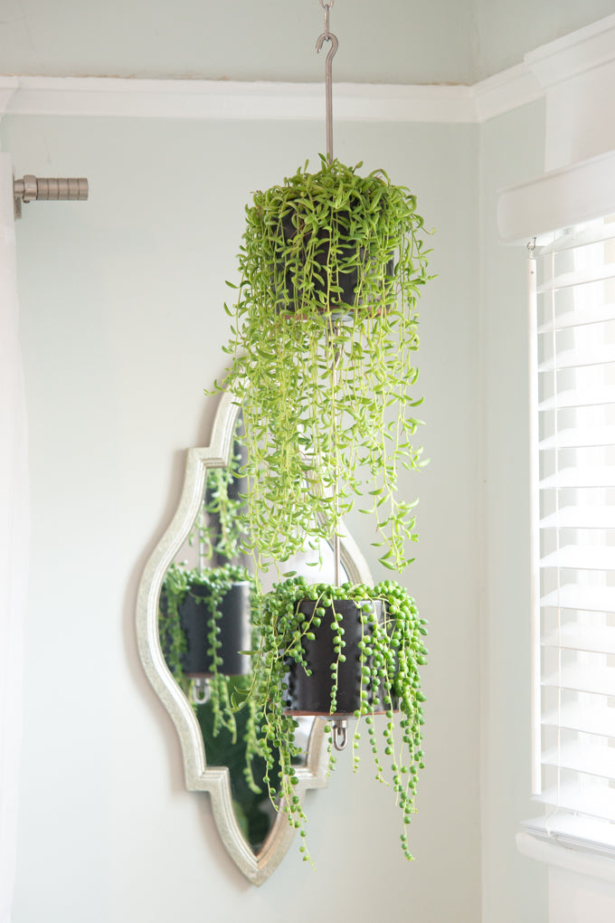 2 gallon hanging planter SkyPots - Two (2) Pot Hangers for Plants + Accessories - Connectable Hanging Planter Kits - Pots not Included