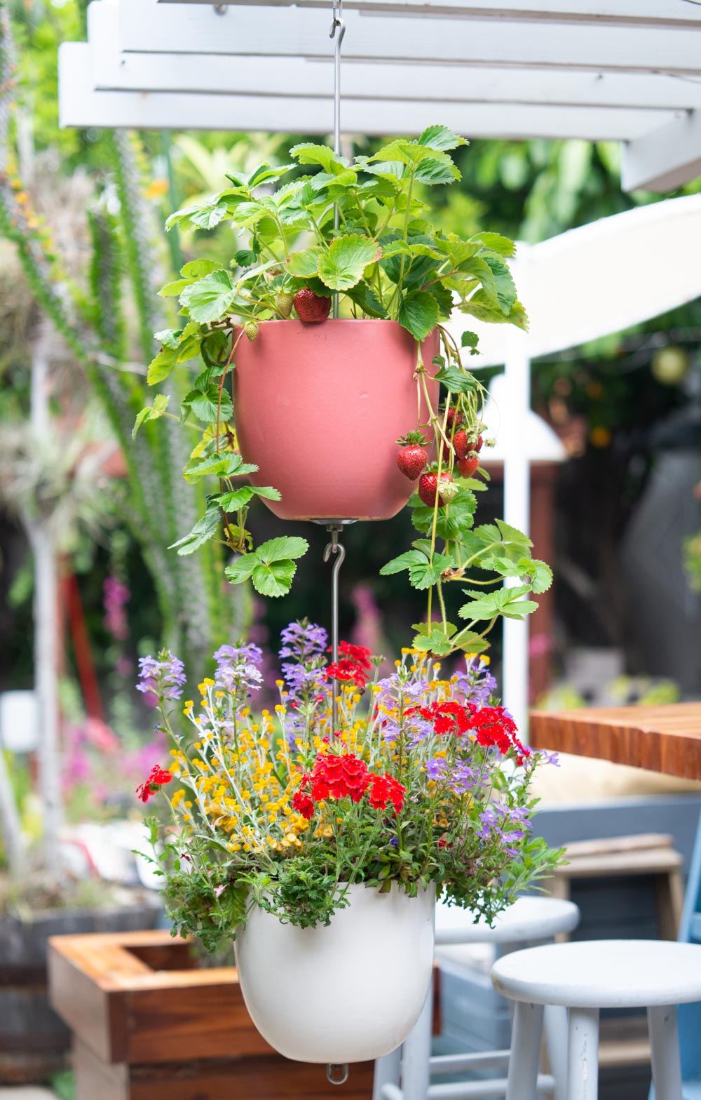 24 hanging planter SkyPots - Pot Hanger for Plants - Connectable Hanging Planter Kit - Pot not Included