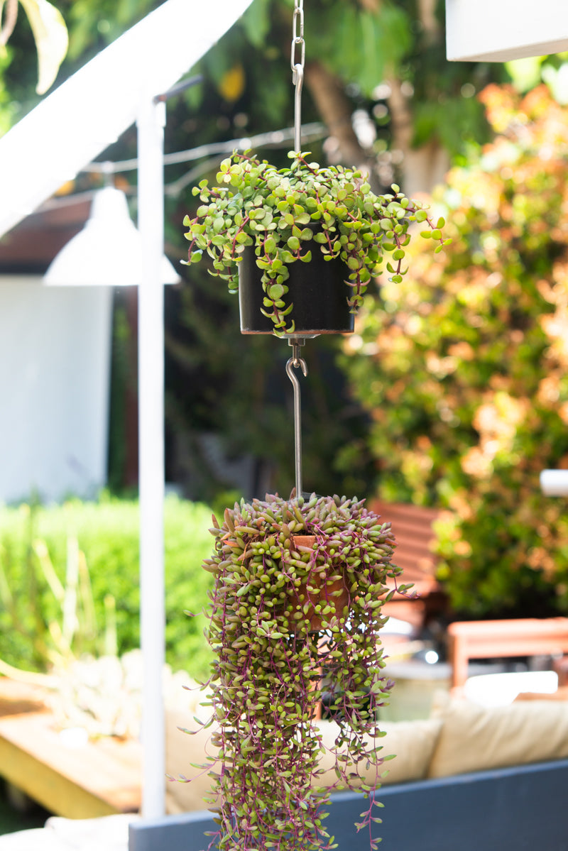 hanging planter posts SkyPots - Pot Hanger for Plants - Connectable Hanging Planter Kit - Pot not Included