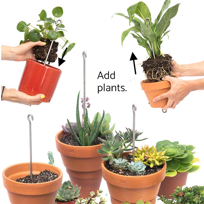 Image shows how plants are added to assemble SkyPots.
