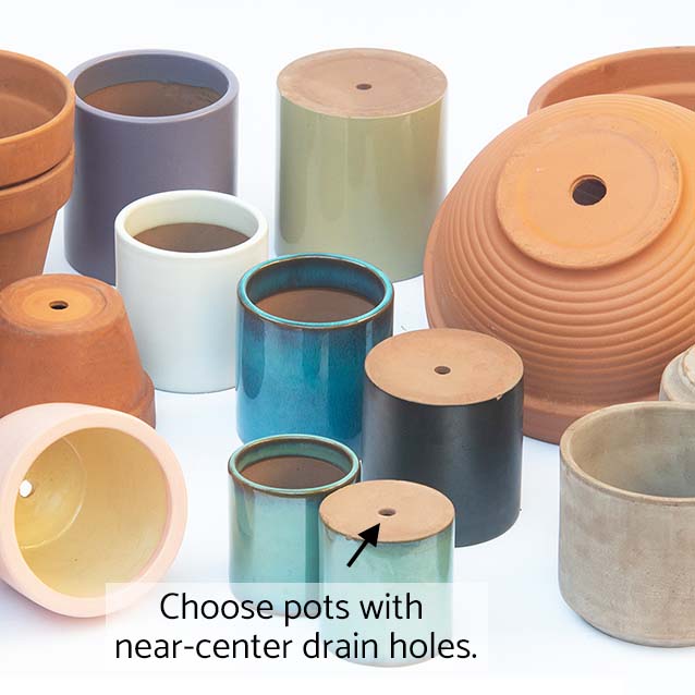 Choose pots with a near-center drain holes. Image shows a variety of different pots with center drain holes.