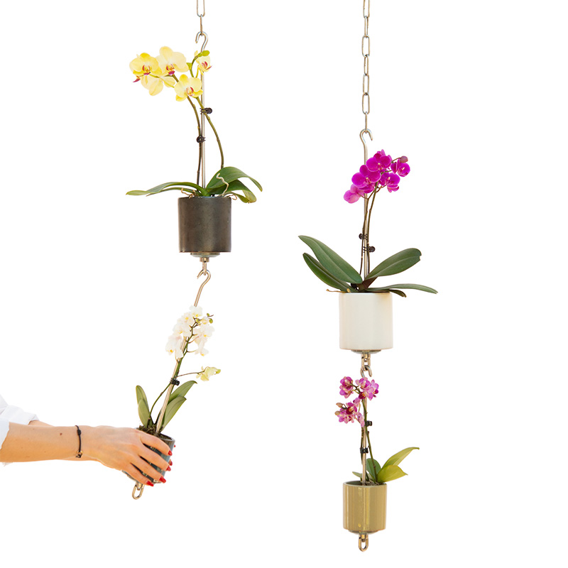 SkyPots arrangement with orchids.