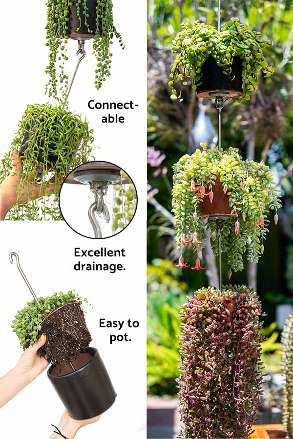 SkyPots are connectable, provide excellent drainage and are easy to pot.